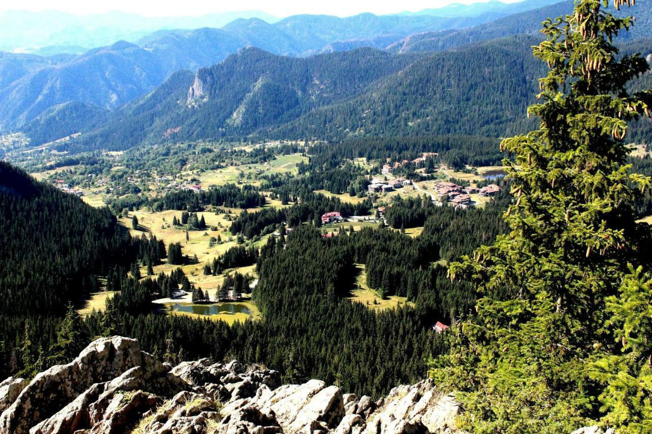 Pamporovo Hotel Snezhanka A425 Eksteriør billede