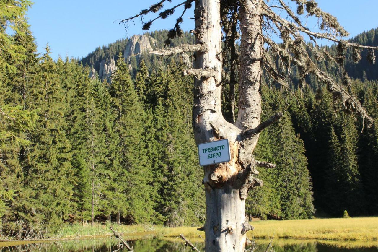 Pamporovo Hotel Snezhanka A425 Eksteriør billede