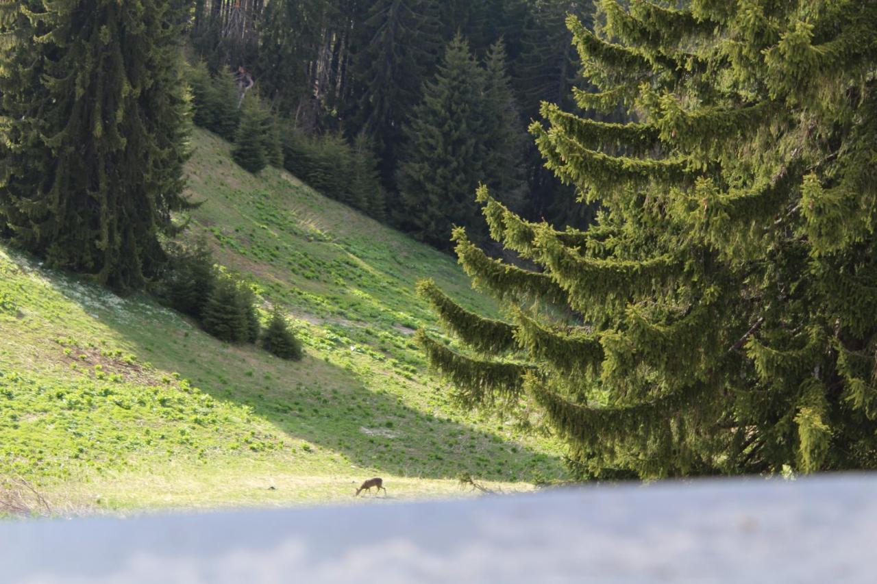 Pamporovo Hotel Snezhanka A425 Eksteriør billede