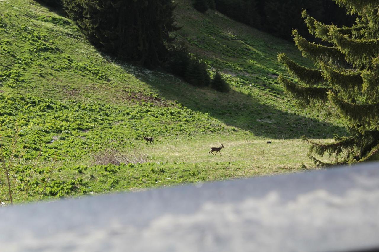 Pamporovo Hotel Snezhanka A425 Eksteriør billede